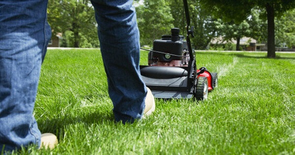 mowing-grass